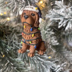 Baltimore Ravens Doggy Ornament