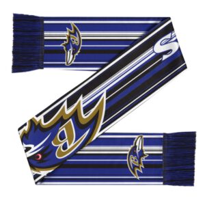 Baltimore Ravens Hyper Stripe Big Logo Scarf