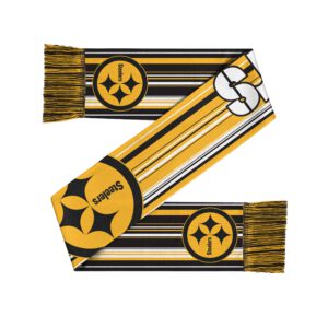 Pittsburgh Steelers Hyper Stripe Big Logo Scarf