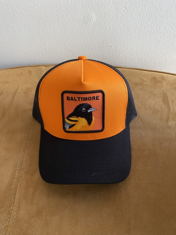 Baltimore Adjustable Hat - Image 2