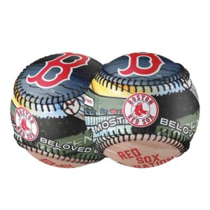 Boston Red Sox Culture Baseball
