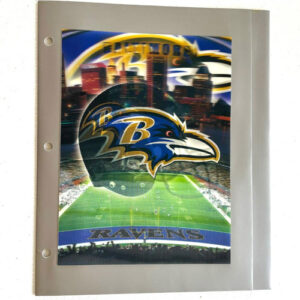 Baltimore Ravens 3D Portfolio