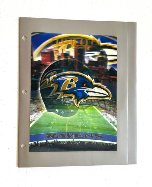 Baltimore Ravens 3D Portfolio